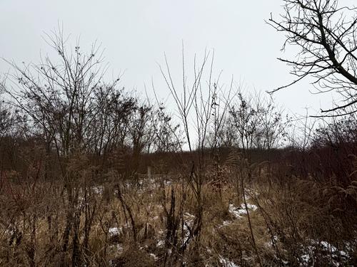 участок по адресу Озёрная ул., 88