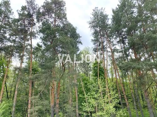 будинок за адресою Мазепи, 36