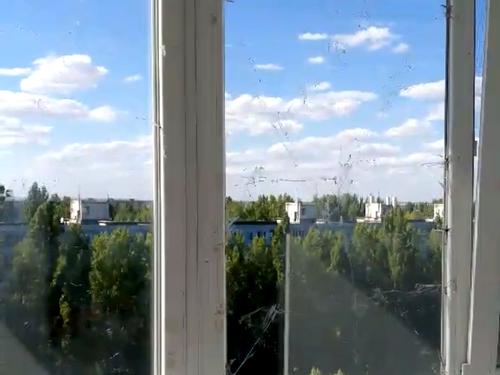 квартира за адресою Князя Володимира Великого просп., 122