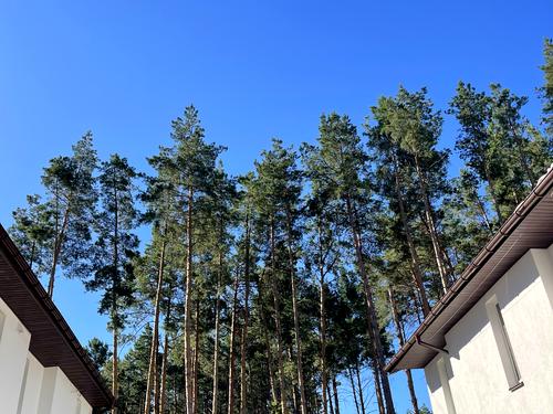 будинок за адресою Лісна