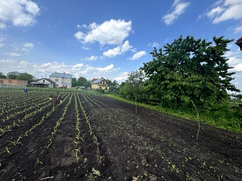 ділянка за адресою с. Великі Грибовичі, Стуса