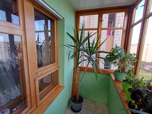 квартира за адресою Тараса Шевченка вул., 388