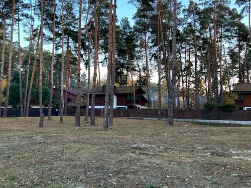 участок по адресу с. Романков, Сосновый Бор ул.