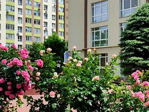 квартира по адресу Академіка Шалімова ул., 65-А