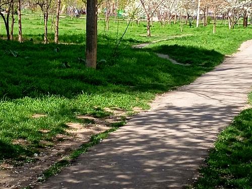 комерційна за адресою Академіка Заболотного вул., 66