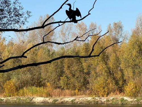 будинок за адресою Хмельницкая