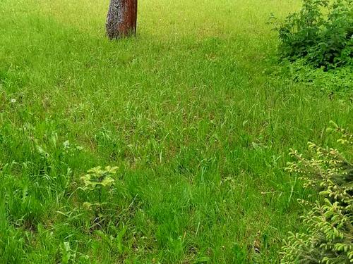 ділянка за адресою Львів, Холодна вул., 85
