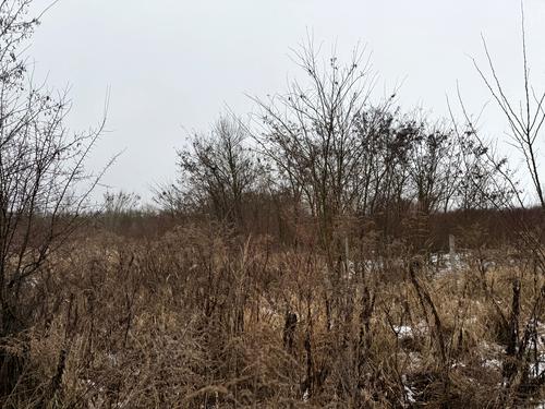 участок по адресу Озёрная ул., 88