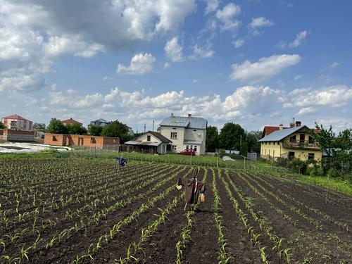 ділянка за адресою с. Великі Грибовичі, Стуса
