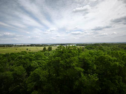 квартира за адресою Володимира Великого Князя, 16