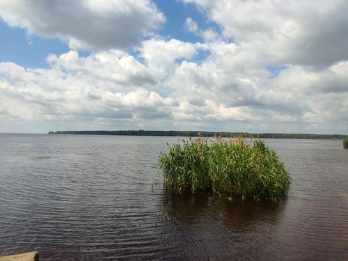 участок по адресу Леніна