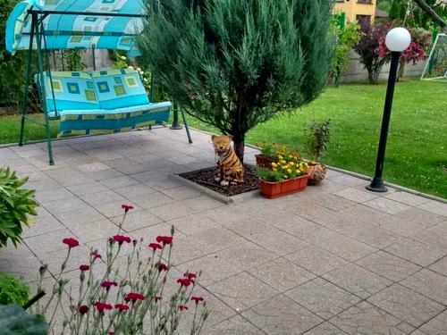 будинок за адресою Івана Кудрі вул.