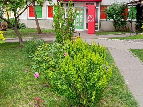 квартира по адресу Новооалександровская, 54
