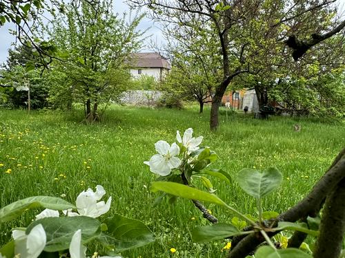 ділянка за адресою 