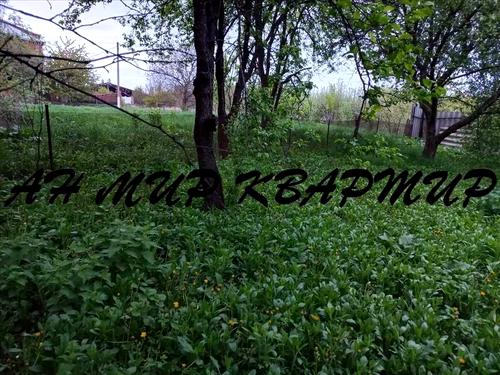 дом по адресу Полтава, Шостаки, 1