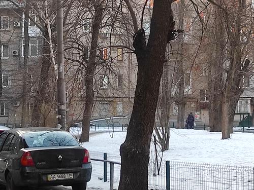 коммерческая по адресу Митрополита Василия Липковского ул. (Урицкого), 40