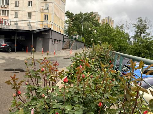 квартира за адресою Івана Пулюя вул., 2
