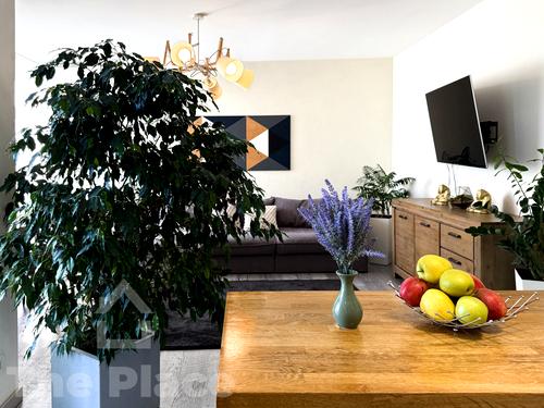 квартира по адресу Регенераторная ул., 4к2