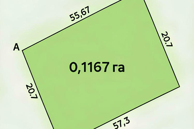 1833281731511217