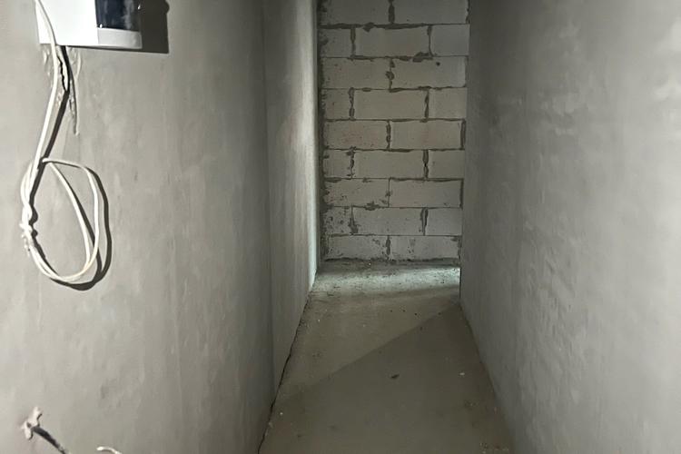 1838263186113317