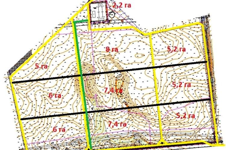 1823139667443602