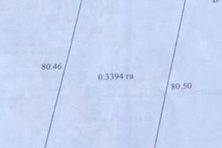 1811446182331736