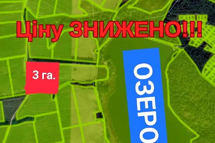 1779553415808082