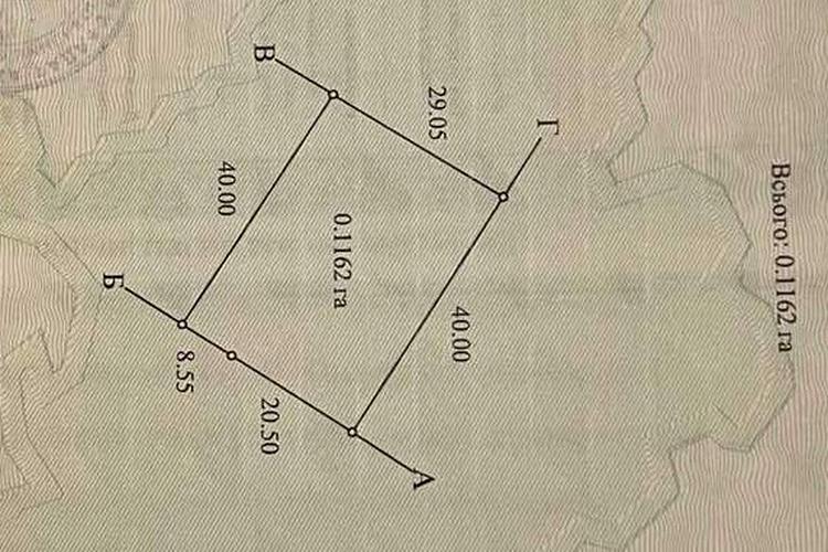1831001924855940