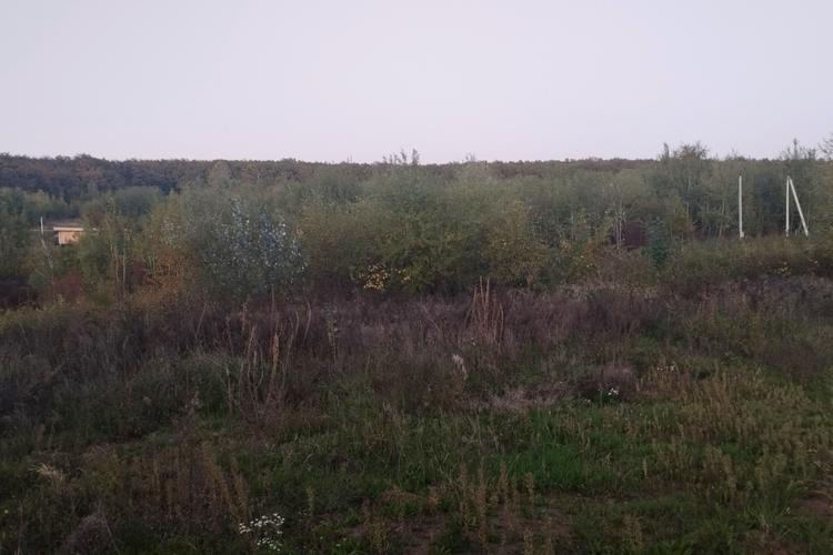 1813409546544964