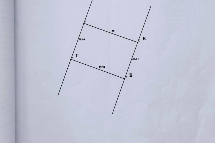 1797037724856994